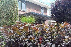 verano santander v460 gemonteerd in almere 1