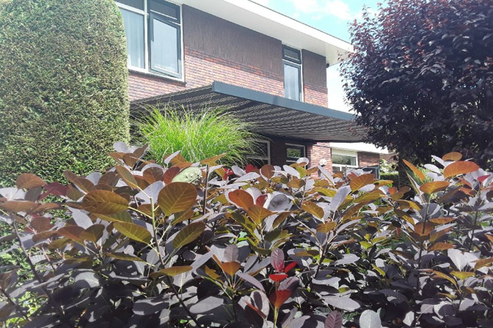 verano santander v460 gemonteerd in almere 1