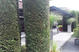 verano santander v460 gemonteerd in almere 2